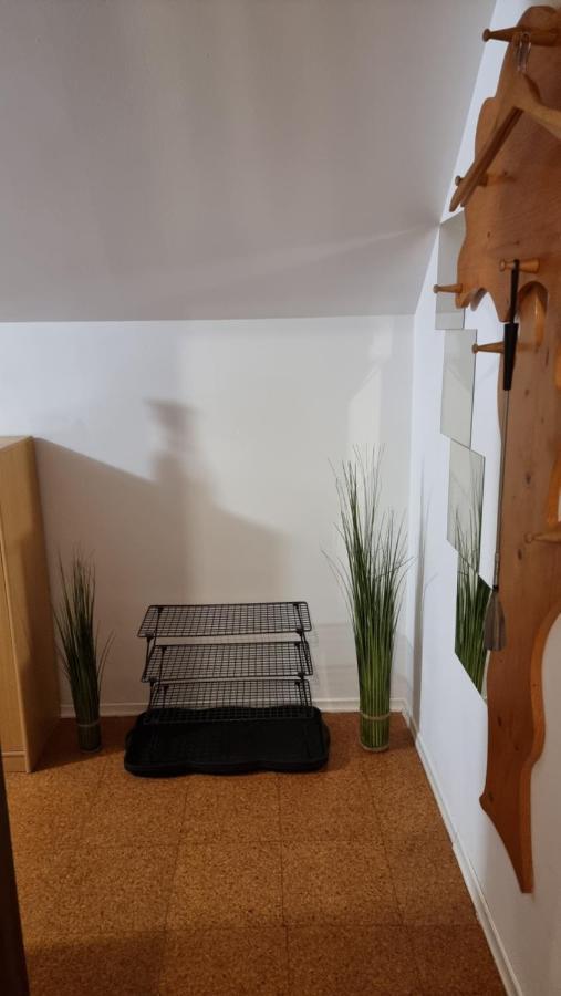 Apartma Ursic Кранска гора Екстериор снимка